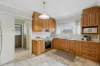 64 Alexander Avenue, Campbelltown, SA 5074-Image