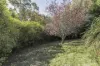 64 Allison Avenue, Riverside, Tas 7250-Image