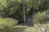 64 Allison Avenue, Riverside, Tas 7250-Image