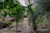 64 Amethyst Crescent, Mount Richon, WA 6112-Image