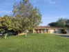 64 Back Creek Road, Young, NSW 2594