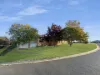 64 Back Creek Road, Young, NSW 2594-Image
