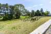 64 Bonar Street, Maitland, NSW 2320-Image