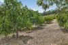 64 Canns Road, Bedfordale, WA 6112-Image