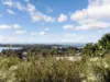 64 Coogee Street, Tuross Head, NSW 2537-Image