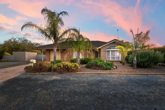 64 Daniel Avenue, Globe Derby Park SA 5110-Image