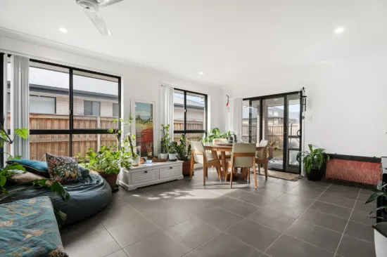 64 Dougan Street, Point Vernon, Qld 4655-Image