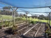 64 Germain Court, Sandford, Tas 7020-Image
