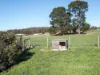 64 Germain Court, Sandford, Tas 7020-Image