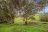 64 Grantala Road, Port Lincoln, SA 5606-Image