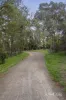 64 Jeffrey Drive, Ringwood, Vic 3134-Image