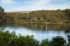 64 Kyla Park Close, Tuross Head, NSW 2537-Image