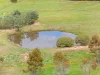 64 Lintott Lane, Sutton, NSW 2620-Image