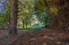 64 Lovett Street, Ulverstone, Tas 7315-Image