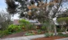 64 Lucerne Crescent, Alphington, Vic 3078-Image