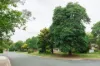 64 McCormack Street, Curtin, ACT 2605-Image