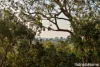 64 Mill Road, Barfold, Vic 3444-Image