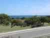 64 Mitchell Street, Horrocks, WA 6535-Image