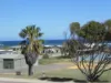 64 Mitchell Street, Horrocks, WA 6535-Image