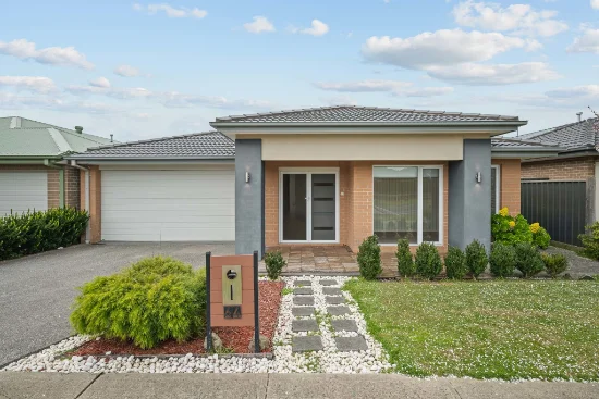 64 Riverwood Drive, Botanic Ridge, Vic 3977