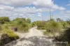64 Seaflower Way, Gabbadah, WA 6041-Image