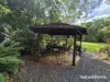 64 Silver Ash Road COW BAY, Daintree, Qld 4873-Image