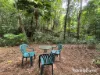 64 Silver Ash Road COW BAY, Daintree, Qld 4873-Image