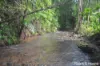 64 Silver Ash Road COW BAY, Daintree, Qld 4873-Image