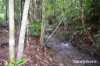 64 Silver Ash Road COW BAY, Daintree, Qld 4873-Image