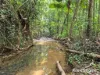 64 Silver Ash Road COW BAY, Daintree, Qld 4873-Image