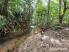 64 Silver Ash Road COW BAY, Daintree, Qld 4873-Image