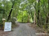 64 Silver Ash Road COW BAY, Daintree, Qld 4873-Image