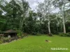 64 Silver Ash Road COW BAY, Daintree, Qld 4873-Image