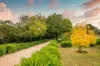 64 Summit Road, Nairne, SA 5252-Image