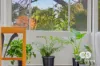 64 Waterloo Road, Paradise, WA 6236-Image
