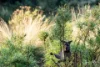 640 West End Road, Leeka, Tas 7255-Image