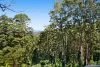 641 Beechmont Road, Lower Beechmont, Qld 4211-Image