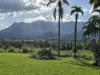 641 Woopen Creek Road, Woopen Creek, Qld 4871-Image