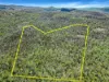 642 Bruxner Road, Tabulam, NSW 2469-Image