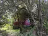 642 Mount Stanley Road, Lymwood, Tas 7256-Image