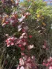 642 Mount Stanley Road, Lymwood, Tas 7256-Image
