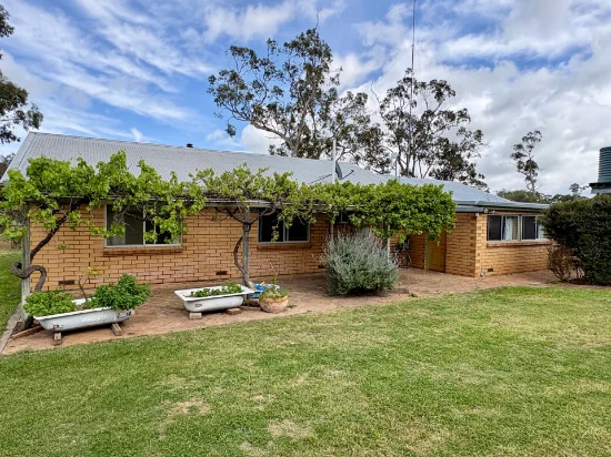 644 Golf Course Road, Bordertown SA 5268-Image