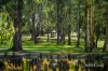 645 Blackwood Road, Trentham, Vic 3458-Image