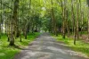 645 Blackwood Road, Trentham, Vic 3458-Image