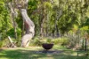 646 Congo Road, Congo, NSW 2537-Image