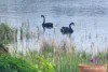 647a Main Road, Berriedale, Tas 7011-Image