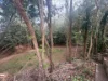 65-67 King Street, Gordonvale QLD 4865-Image