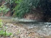 65-67 King Street, Gordonvale QLD 4865-Image