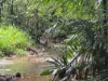 65-67 King Street, Gordonvale QLD 4865-Image