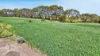 65 Acacia Drive, Kingscote, SA 5223-Image